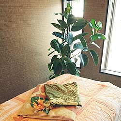 壁/天井/エステルーム/いつもいいねやコメありがとうございます♡/みなさんの素敵なインテリアに癒されてます/ワンコと暮らす家...などのインテリア実例 - 2016-07-20 09:58:22