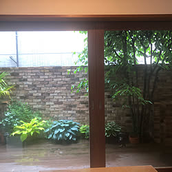 ベランダ 雨の日のインテリア実例 Roomclip ルームクリップ