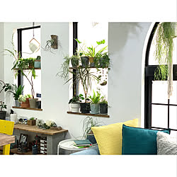 中古住宅/グリーンのある暮らし/ボタニカルライフ/観葉植物/植物のある暮らし...などのインテリア実例 - 2020-03-08 17:48:39