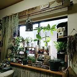 壁/天井/山善収納部/男前もナチュラルもどっちも好き/DIY/フォロワーさんに感謝♥...などのインテリア実例 - 2016-08-26 08:57:59