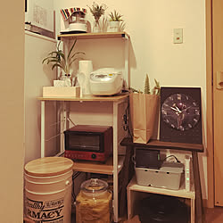キッチン/電気鍋/山善キャセロールモニター応募/掃除しやすい家/観葉植物...などのインテリア実例 - 2019-01-17 22:56:48