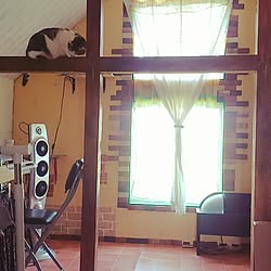 壁/天井/秘密基地/築20年の中古住宅をDIYして楽しむ!/ピアノがある部屋/生活感のある家...などのインテリア実例 - 2017-05-20 12:17:42