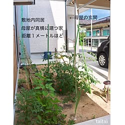 玄関/入り口/taitai potager/taitai garden/花壇③/花壇 手作り...などのインテリア実例 - 2017-07-11 16:31:00