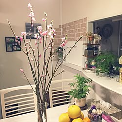 桃の花飾りましたのインテリア実例 Roomclip ルームクリップ