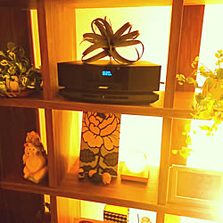 お気に入り/観葉植物/中古を買ってリノベーション/一人暮らし/ダイケンの床...などのインテリア実例 - 2019-03-22 20:31:10