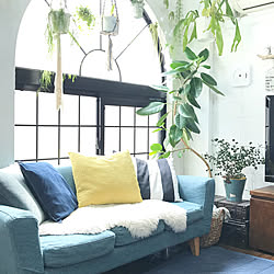 リビング/中古住宅/植物のある暮らし/グリーンのある暮らし/ボタニカルライフ...などのインテリア実例 - 2018-05-29 11:13:03