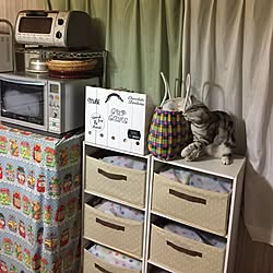 キッチン/カラーボックス収納/ウォールステッカー/セリア/お気に入りのかご...などのインテリア実例 - 2017-04-25 20:10:35
