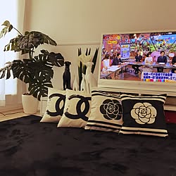 大東建託 大東建託 1ldk サンルーム 部屋全体 新築のインテリア実例 18 10 12 57 01 Roomclip ルーム クリップ