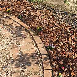 バークチップ 固まる砂 レンガ 庭のインテリア実例 17 12 02 13 40 47 Roomclip ルームクリップ