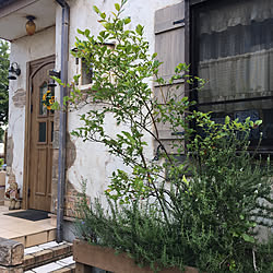 玄関/入り口/お盆/外観/外構/建売住宅...などのインテリア実例 - 2018-08-11 20:34:56
