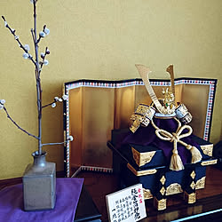 棚/こどもと暮らす/和室/床の間/かぶと飾り...などのインテリア実例 - 2020-04-27 11:30:23