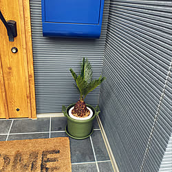 壁 天井 ソフビ人形 ウルトラマン 和室 デニムの壁紙 などのインテリア実例 18 01 09 17 09 37 Roomclip ルームクリップ