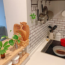 カポック水挿しのインテリア実例 Roomclip ルームクリップ