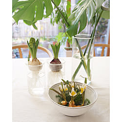 穏やかな暮らし/癒しの時間/花と暮らす/IKEA/アスティエ...などのインテリア実例 - 2020-01-07 17:09:55