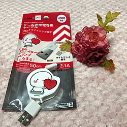 Monday/マンデー/小物/雑貨/Daiso...などのインテリア実例 - 2019-05-27 20:34:54