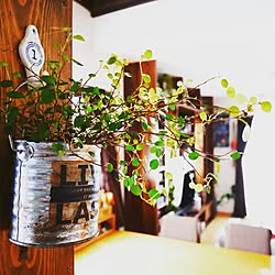 部屋全体/DIY/100均/リメイク/リメイク缶...などのインテリア実例 - 2016-12-16 06:39:52