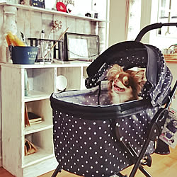 犬用カートのインテリア実例 Roomclip ルームクリップ