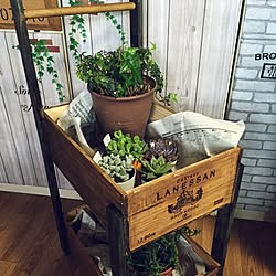 ワイン箱リメイク 木箱 ガーデン雑貨 ガーデニング 庭 などのインテリア実例 15 02 28 18 45 08 Roomclip ルームクリップ