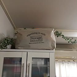 バス/トイレ/10000人の暮らし/観葉植物/ランジェリーボックスの上/スッキリ収納...などのインテリア実例 - 2018-03-16 16:09:53
