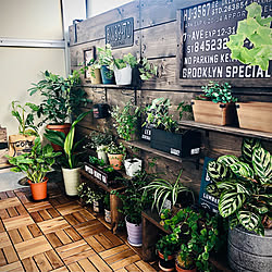 カーテンレールに吊るしただけのインテリア実例 Roomclip ルームクリップ