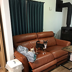 カーテン/見てくれてありがとう♡/いつも見てくれてありがとうございます♡/片付けそっちのけ/いいね!ありがとうございます♪...などのインテリア実例 - 2019-03-28 21:22:15