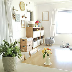 部屋全体/新商品買ったよ!/ナチュラル/プラントカバー/グリーンのある暮らし...などのインテリア実例 - 2020-02-17 15:59:18