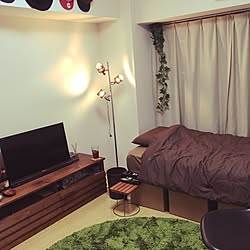 一人暮らし ラグ 緑のインテリア レイアウト実例 Roomclip ルームクリップ