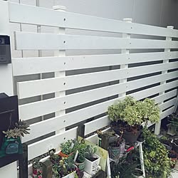 コーナン フェンスdiyのインテリア 手作りの実例 Roomclip ルームクリップ