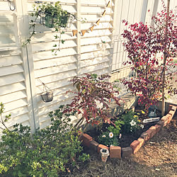 コーナン フェンスdiyのインテリア 手作りの実例 Roomclip ルームクリップ