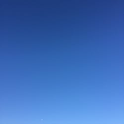 バス/トイレ/ココロの空/ケチ部/インテリアじゃなくてごめんなさい/前前前世 RADWIMPS...などのインテリア実例 - 2016-12-02 07:54:42