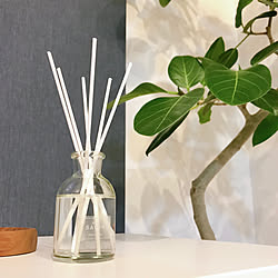 緑のある暮らし/テレビ台/sawaday香るstick/スティック芳香剤/香りのある暮らし...などのインテリア実例 - 2020-09-11 08:20:28