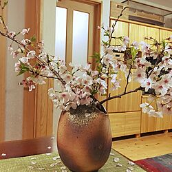 リビング/花見/桜/一枚板テーブル/古い家...などのインテリア実例 - 2017-04-16 23:04:51