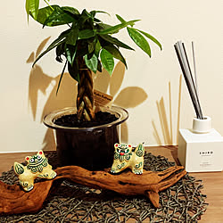 観葉植物 和風な玄関のインテリア実例 Roomclip ルームクリップ