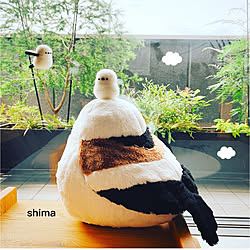 宝物/ありがとうございました/空飛ぶシマエナガ/anzさんのシマエナガ/ミンネで購入...などのインテリア実例 - 2020-07-12 10:47:17