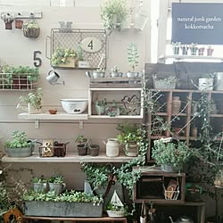ベッド周り/古いもの/朝の1枚/ブログやってます(*Ü*)/2015/08/13...などのインテリア実例 - 2015-08-13 09:22:38