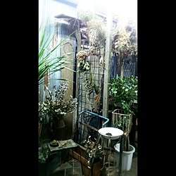 花suguri/Green Works/建築資材/廃材 haizai/古材/花suguri/GreenWorksのインテリア実例 - 2014-08-28 10:09:09