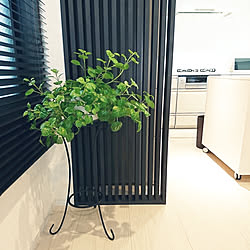 部屋全体/スウェーデンアイビー/RCの出会いに感謝♡/いいね、フォロー本当に感謝です♡/感謝♡感謝♡感謝♡...などのインテリア実例 - 2019-02-20 14:00:18