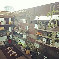 壁/天井/ベランダ/DIY/カフェ風/板壁...などのインテリア実例 - 2015-11-07 16:37:10