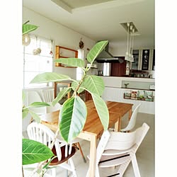 子供と暮らす。/建売住宅/白い壁と木の温もり/自分らしく/すっきりとした暮らし...などのインテリア実例 - 2015-09-18 17:15:58