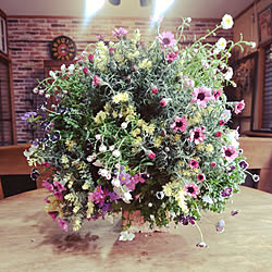 玄関/入り口/誕生日プレゼント/お庭の花/お庭/シャビーシック...などのインテリア実例 - 2019-02-25 15:57:06
