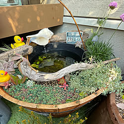 グリーンウォーターのインテリア実例 Roomclip ルームクリップ グリーンウォーターのインテリア実例 Roomclip ルームクリップ