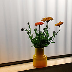 花瓶 ケイトウのインテリア実例 Roomclip ルームクリップ