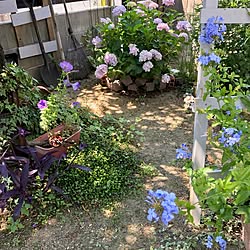 玄関 入り口 日替わり投稿企画 木曜日 植物 ワイヤープランツ トピアリー などのインテリア実例 17 06 15 15 48 49 Roomclip ルームクリップ 玄関 入り口 日替わり投稿企画 木曜日 植物 ワイヤープランツ トピアリー などのインテリア実例 17 06 15 15 48 49 Roomclip ルームクリップ