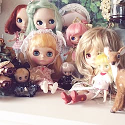 可愛い ブライスドールのインテリア実例 Roomclip ルームクリップ 可愛い ブライスドールのインテリア実例 Roomclip ルームクリップ
