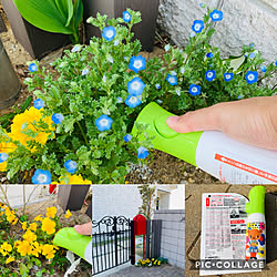 土にまくだけ害虫退治オールスター/アースガーデン/害虫対策/植物のある暮らし/ガーデニング...などのインテリア実例 - 2020-05-03 06:11:33