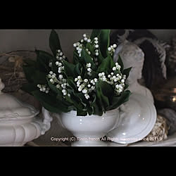 棚/shabbby chic/ブログやってます♡/French/antique...などのインテリア実例 - 2018-05-01 15:00:50