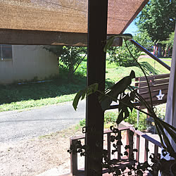 バス/トイレ/畑/小さい平屋/小さいウッドデッキ/サンシェード...などのインテリア実例 - 2017-07-26 17:24:45