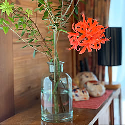 オリーブの枝 花瓶 オブジェ グリーンのある暮らし おうちで過ごそう などのインテリア実例 21 06 07 08 43 38 Roomclip ルームクリップ