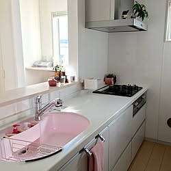 ピンクのシンクのインテリア実例 Roomclip ルームクリップ