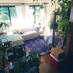 部屋全体/いいね、フォロー本当に感謝です♡/わんこと暮らす家/犬と暮らす家 リビング/お疲れさま...などのインテリア実例 - 2018-08-27 10:30:25